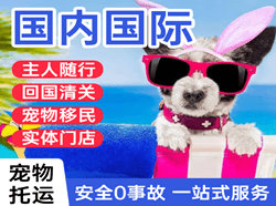 塔城千泉航空物流国际宠物托运 【国